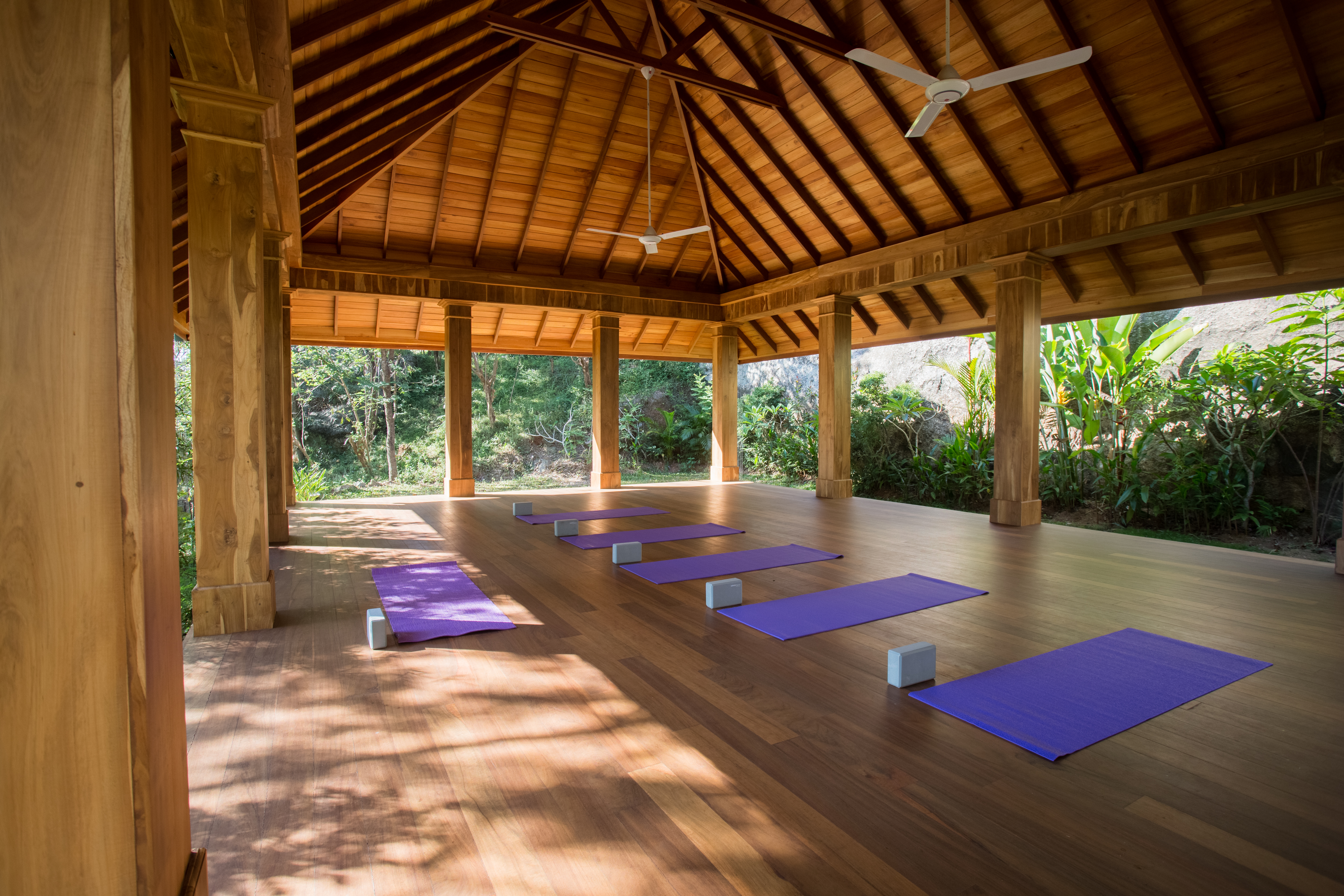 Annie Au Trauma Informed Yin yoga teacher training Yoga Alliance accredited
